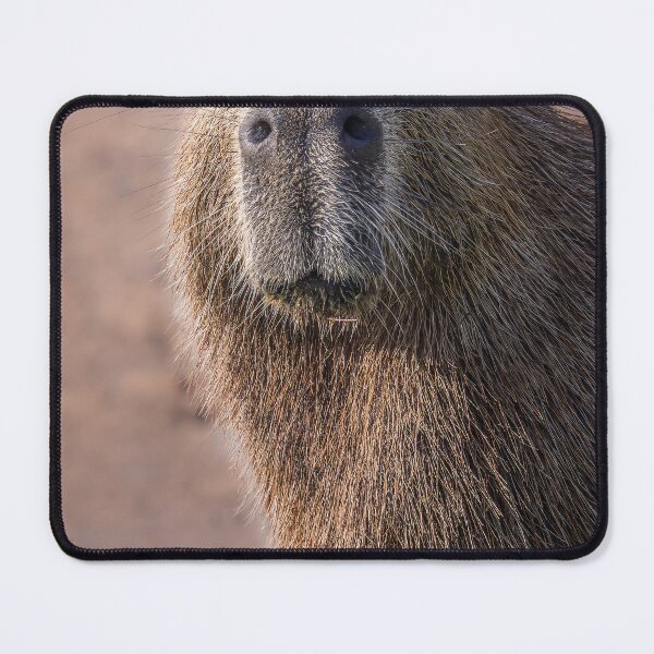 Item preview, Capybara Portrait Pantanal Brazil designed and sold by PhotoArt by Joan Carroll.