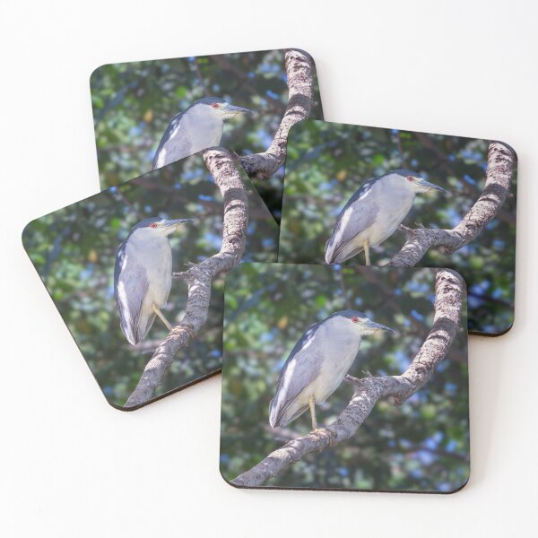 Item preview, Black-Crowned Night Heron Pantanal Brazil designed and sold by PhotoArt by Joan Carroll.