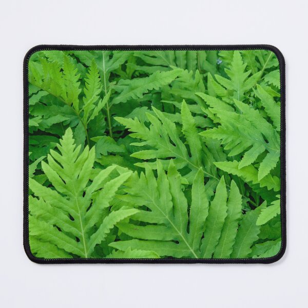 Item preview, Forest Green Fern Backdrop designed and sold by Roxane Bay.
