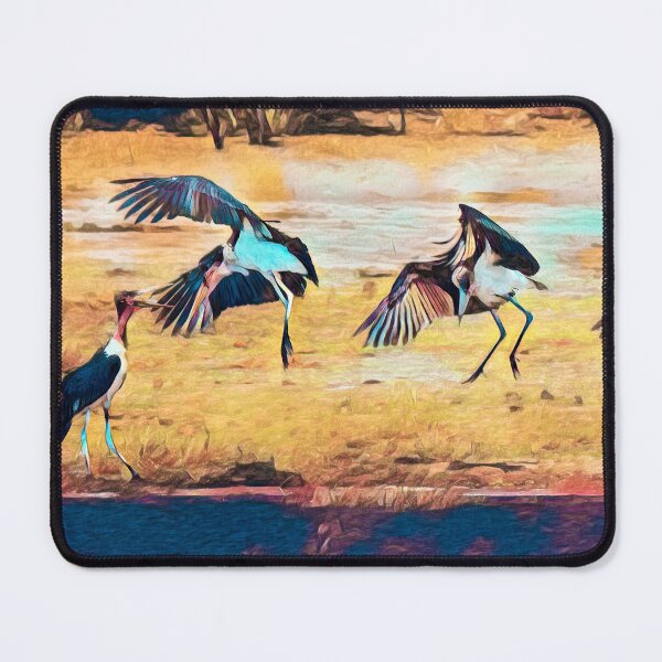 Item preview, Dance of the Maribou Stork With An Artsy Touch designed and sold by Kay Brewer.