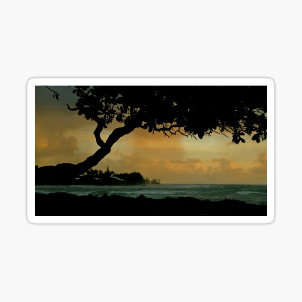 Tree Cover... Kauai Sensual Series Sticker