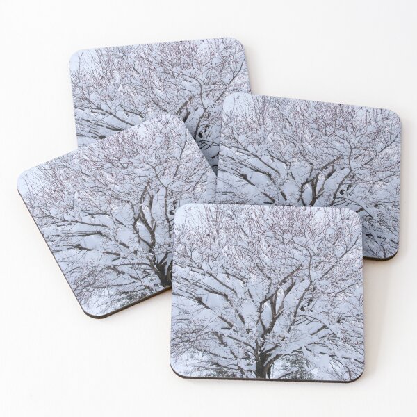 Item preview, Trees And Snow 1: Maple tree in winter. designed and sold by Dustwood-Media.