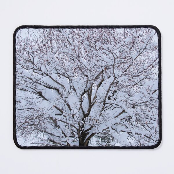 Item preview, Trees And Snow 1: Maple tree in winter. designed and sold by Dustwood-Media.