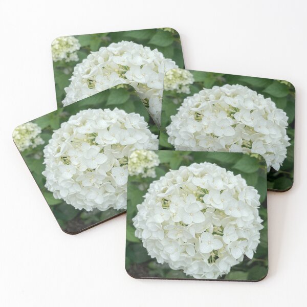 Item preview, White Hydrangea Photograph designed and sold by Shannon Greve.