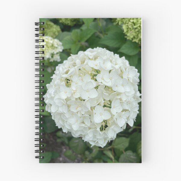 Item preview, White Hydrangea Photograph designed and sold by Shannon Greve.