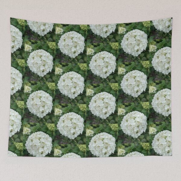Item preview, White Hydrangea Photograph designed and sold by Shannon Greve.