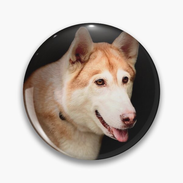 Artikelvorschau, Husky schwarzer Hintergrund entworfen und verkauft von Working Super Bee.