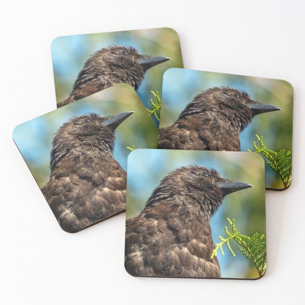 Item preview, American Crow, looking cute designed and sold by lisavonbiela.