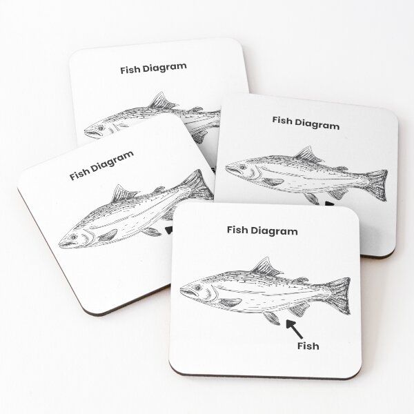 Item preview, fish diagram designed and sold by killzak.