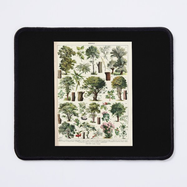 Item preview, Adolphe Millot - Arbres A - French Vintage Botanical Poster designed and sold by kosers.
