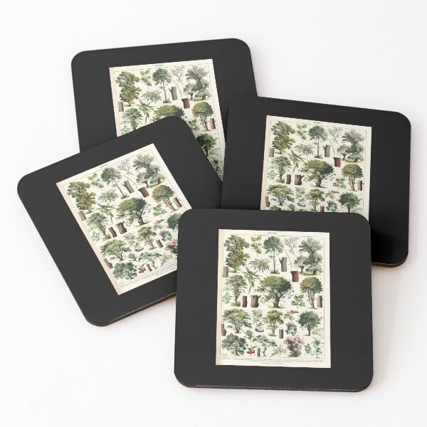 Item preview, Adolphe Millot - Arbres A - French Vintage Botanical Poster designed and sold by kosers.
