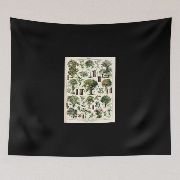 Item preview, Adolphe Millot - Arbres A - French Vintage Botanical Poster designed and sold by kosers.