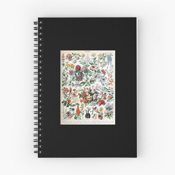 Item preview, Adolphe Millot - Fleurs C - French Vintage Poster (1) designed and sold by kosers.