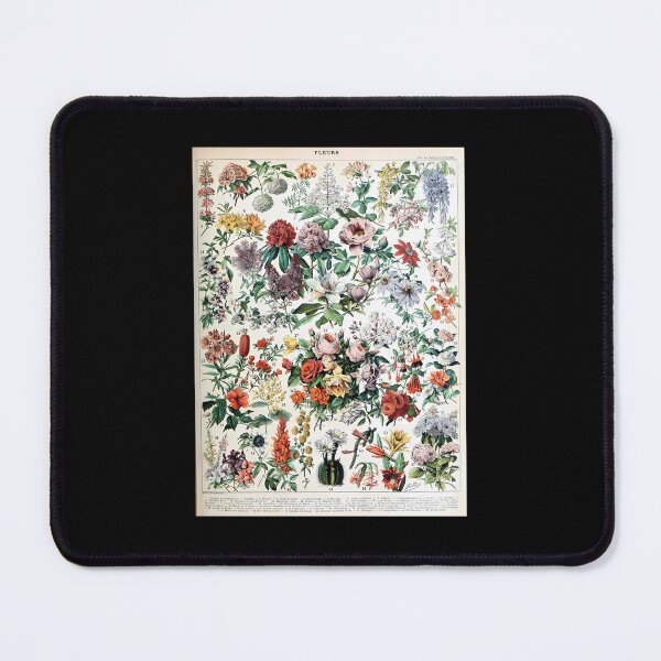 Item preview, Adolphe Millot - Fleurs C - French Vintage Poster (1) designed and sold by kosers.