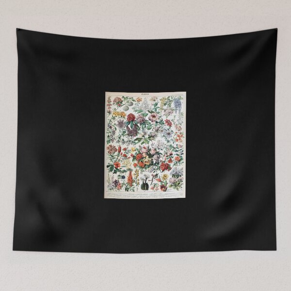 Item preview, Adolphe Millot - Fleurs C - French Vintage Poster (1) designed and sold by kosers.