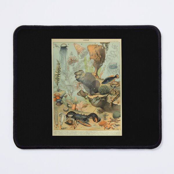 Item preview, Adolphe Millot Océano B designed and sold by kosers.