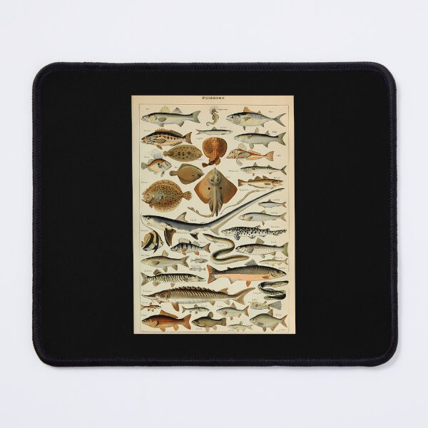 Item preview, Adolphe Millot Poissons Pour Tous designed and sold by kosers.