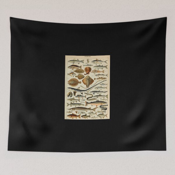 Item preview, Adolphe Millot Poissons Pour Tous designed and sold by kosers.