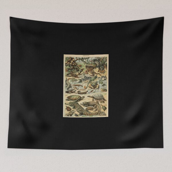 Item preview, Adolphe Millot Reptile Pour Tous (1) designed and sold by kosers.
