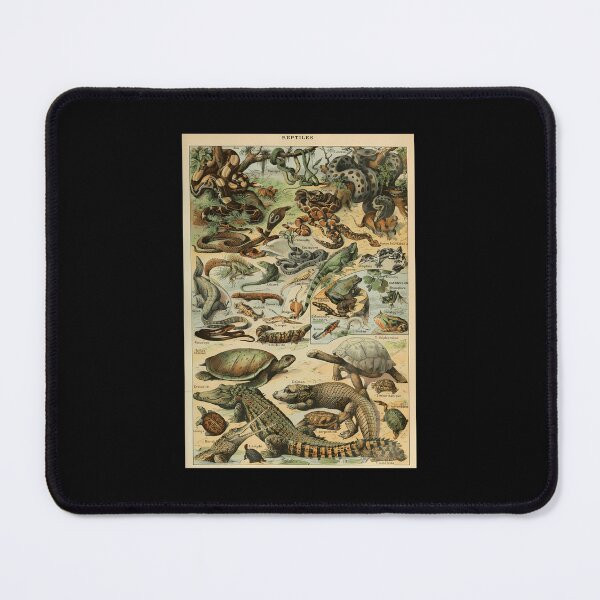 Item preview, Adolphe Millot Reptile Pour Tous designed and sold by kosers.