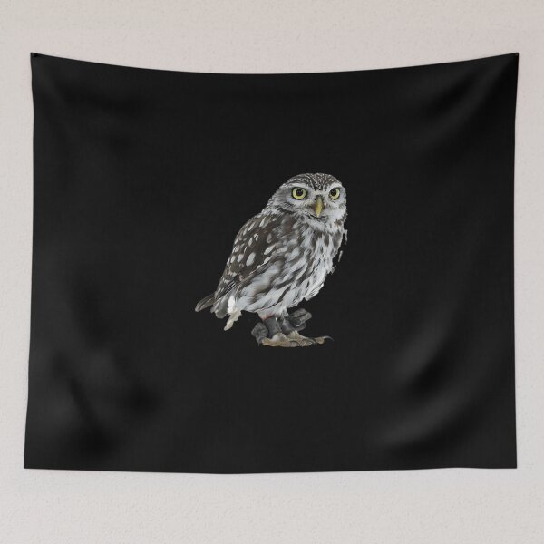 Item preview, Adopt Me Owl (2) designed and sold by kosers.