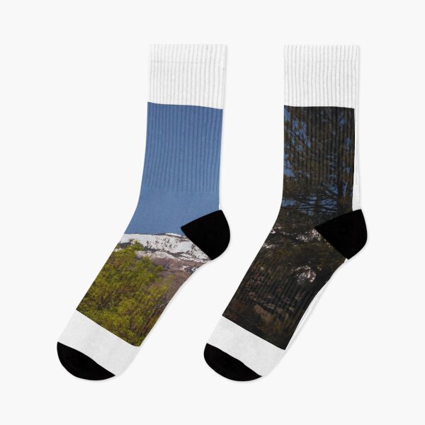 Item preview, Trees and Snow-Capped Mountain Under Clear Sky designed and sold by Phakade's Photos.