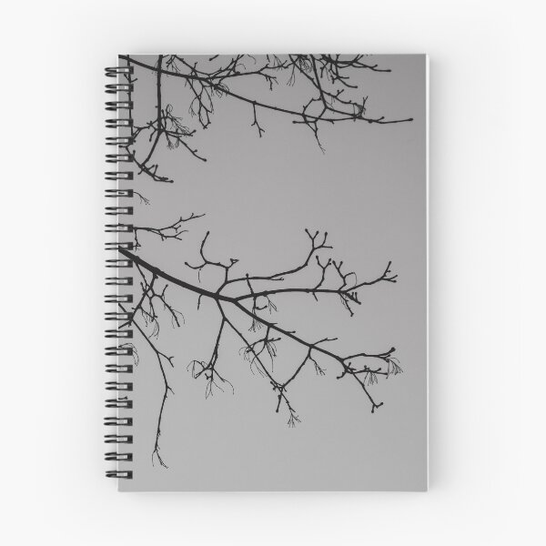 Item preview, Tree Branch From My Back Yard designed and sold by Del Phoenix Photography.