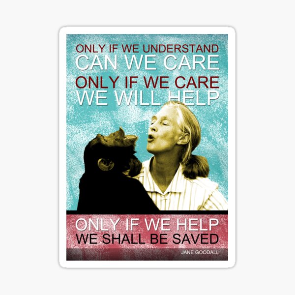 Jane Goodall Quote 3 Sticker