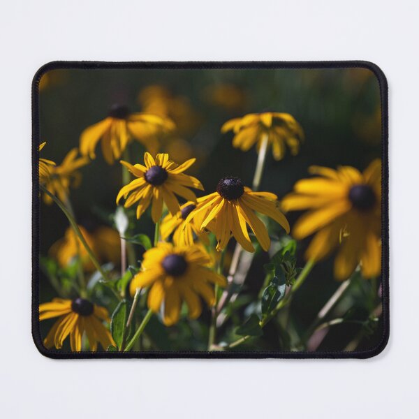Item preview, Black-eyed Susan Flower boquet designed and sold by Misstickers.