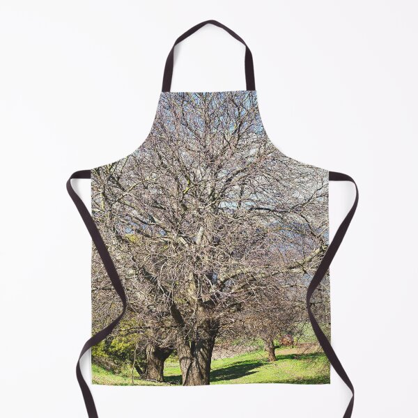 Item preview, Majestic Chestnut Tree in Sunlight designed and sold by Joy Watson - Natural Light Photography .