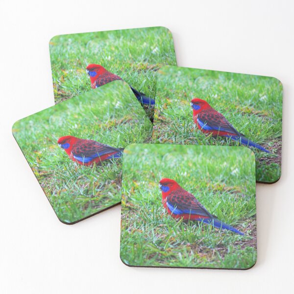 Item preview, Crimson Rosella on The Green Grass designed and sold by Joy Watson - Natural Light Photography .