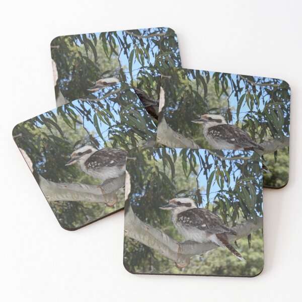 Item preview, Kookaburra at Rest designed and sold by Yolanda Caporn Art.