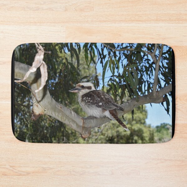 Item preview, Kookaburra at Rest designed and sold by Yolanda Caporn Art.