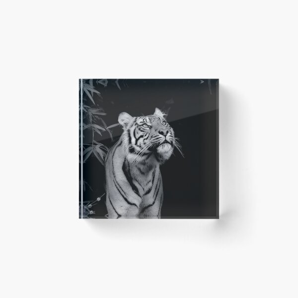 Item preview, Tiger - "Smelling the Roses" - in black and white designed and sold by PixSL Photography and Photo Art.
