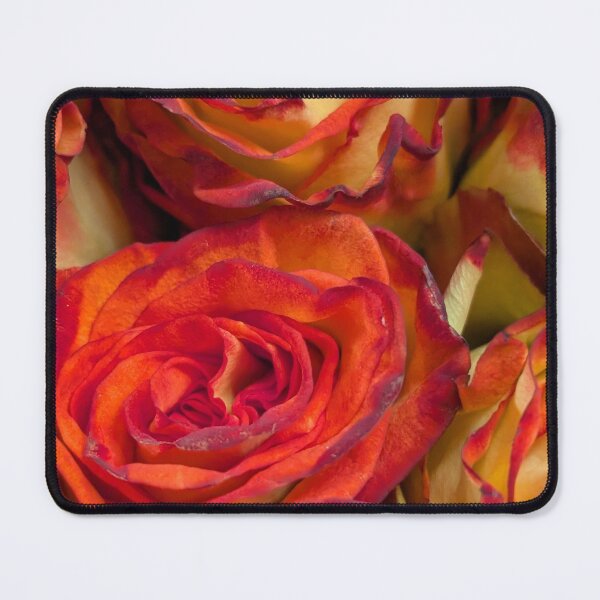 Item preview, Bunches Of Orange Roses designed and sold by Heather Cox.