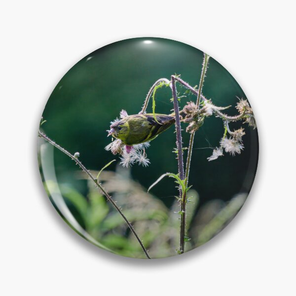 Item preview, Oh these seeds. Eurasian siskin designed and sold by Jouko Lehto Photography.