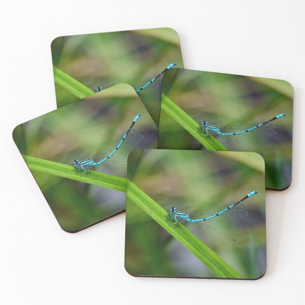 Item preview, Tail up. Azure damselfly designed and sold by Jouko Lehto Photography.