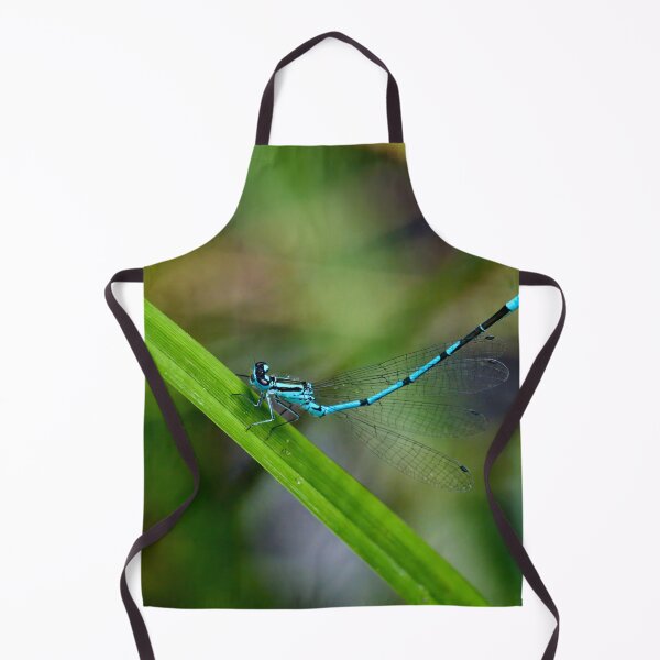 Item preview, Tail up. Azure damselfly designed and sold by Jouko Lehto Photography.