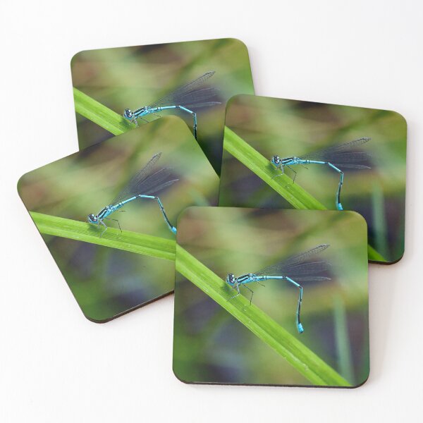 Item preview, How to bend. Azure damselfly designed and sold by Jouko Lehto Photography.