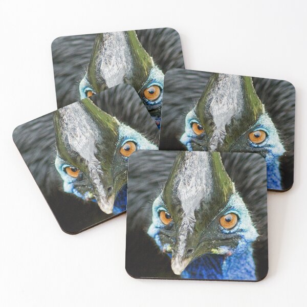 Item preview, A very annoyed Cassowary designed and sold by Bluejacket Photo.