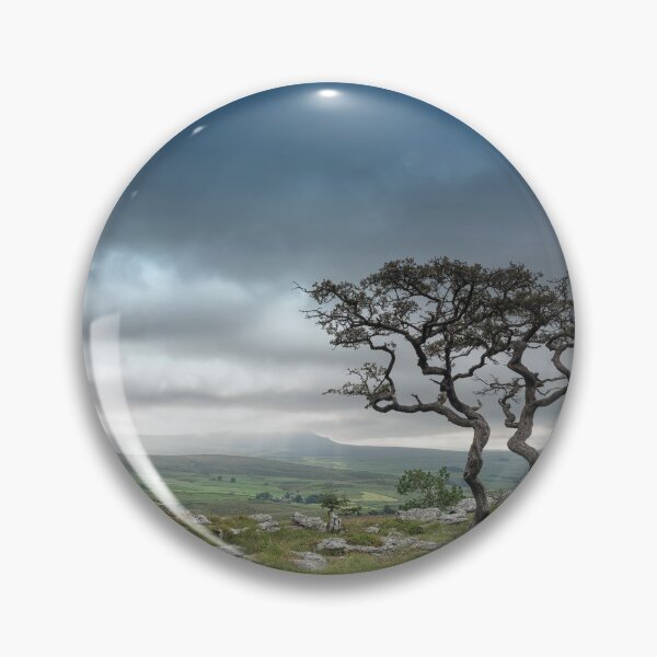 Item preview, Old twin Hawthorn trees with Pen-y-Ghent designed and sold by Andrew Fletcher Photography.