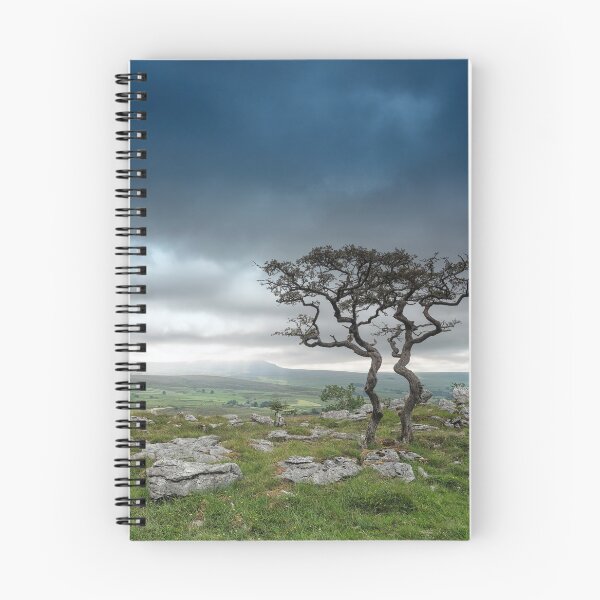 Item preview, Old twin Hawthorn trees with Pen-y-Ghent designed and sold by Andrew Fletcher Photography.