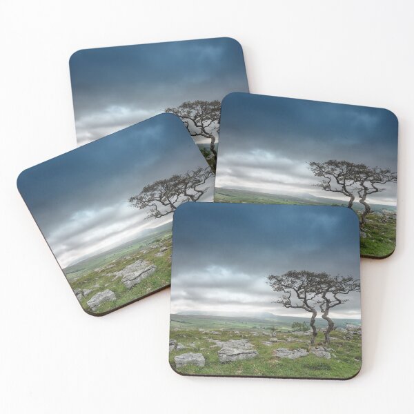 Item preview, Old twin Hawthorn trees with Pen-y-Ghent designed and sold by Andrew Fletcher Photography.