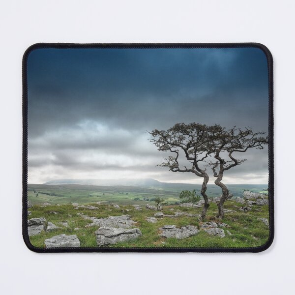 Item preview, Old twin Hawthorn trees with Pen-y-Ghent designed and sold by Andrew Fletcher Photography.