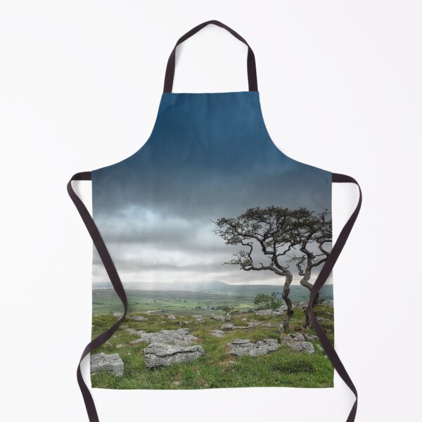 Item preview, Old twin Hawthorn trees with Pen-y-Ghent designed and sold by Andrew Fletcher Photography.