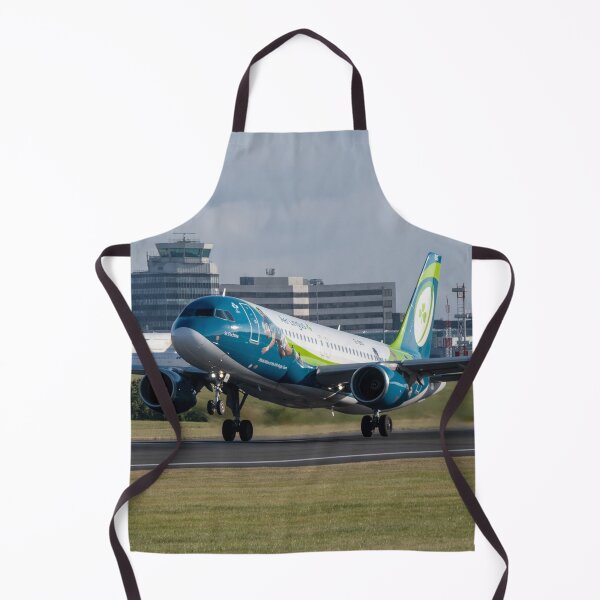 Item preview, Aer Lingus Irish Rugby Team Livery Airbus A320 EI-DEG MAN to DUB designed and sold by Skyframe Aviation.