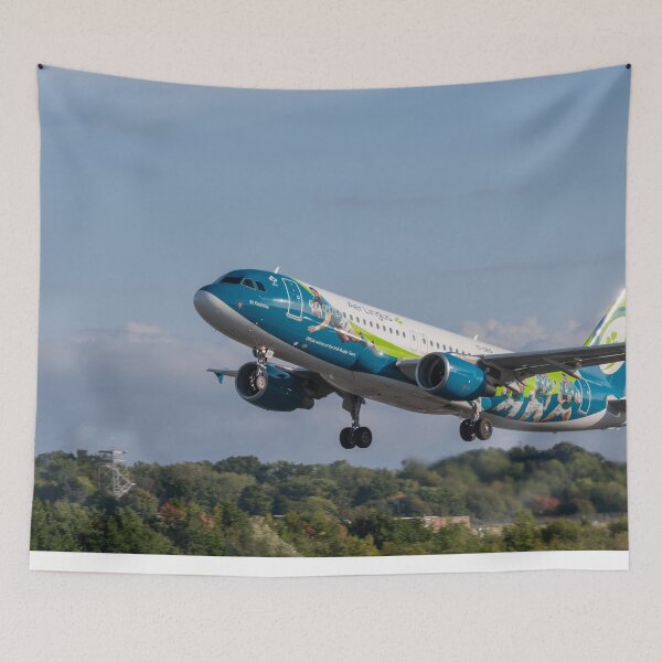 Item preview, Aer Lingus Irish Rugby Team Livery Airbus A320 EI-DEG MAN to DUB designed and sold by Skyframe Aviation.