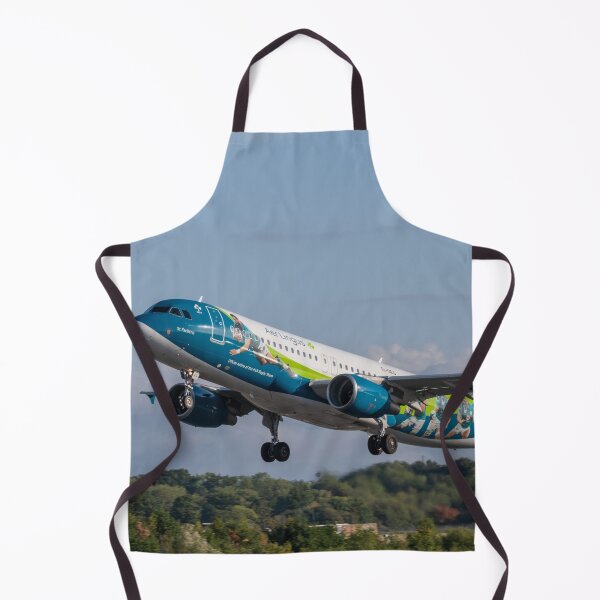 Item preview, Aer Lingus Irish Rugby Team Livery Airbus A320 EI-DEG MAN to DUB designed and sold by Skyframe Aviation.