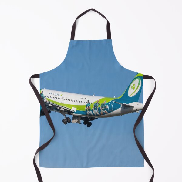 Item preview, Aer Lingus Irish Rugby Team Livery Airbus A320 EI-DEG MAN to DUB designed and sold by Skyframe Aviation.