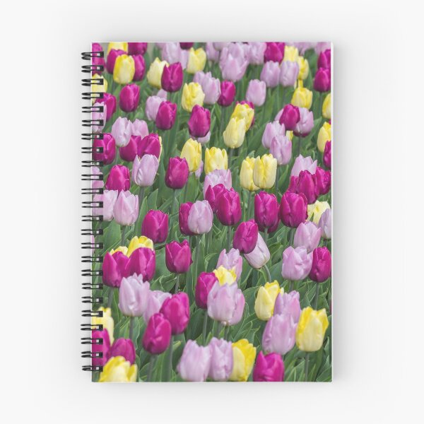 Item preview, Solely Tulips, Meersburg - Lake Constance designed and sold by holgermader.